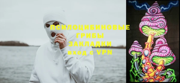MDMA Бородино