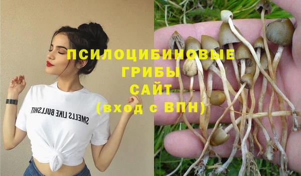 MDMA Бородино