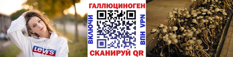 нарко площадка клад  Серпухов  мега ONION  Галлюциногенные грибы Psilocybine cubensis  купить  сайты 